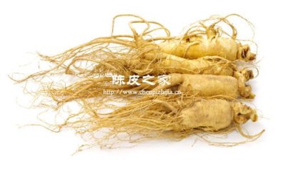 陈皮能和人参一起泡水喝吗，用量多少