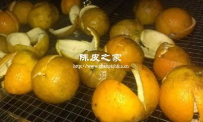 陈皮传统炮制与现代保存，哪个更护品质？
