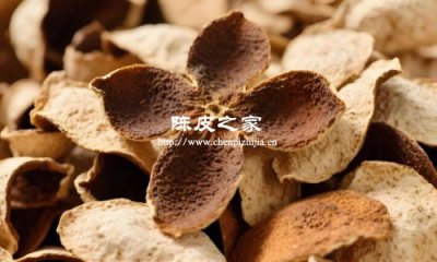 吃陈皮会上火吗？答案来了
