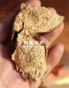 虫蛀陈皮该丢弃还是挽救?分级处置方案全解析
