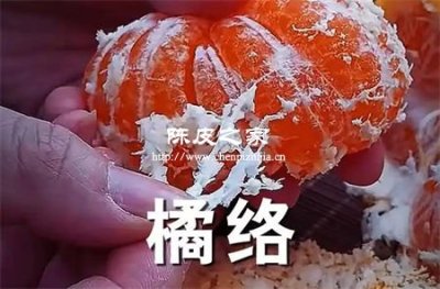 吃完橘肉扔橘络？你扔掉了血管清道夫