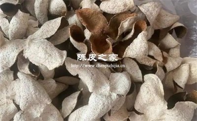 陈皮陈几年才算有药效？
