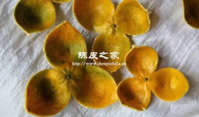 湿陈皮别暴晒！教你正确保存法，放 5 年依然香醇