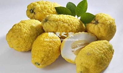 陈皮配香橼，理气宽胸新选择