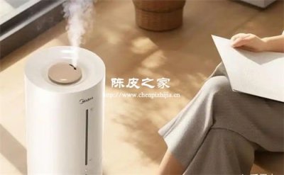 空调房喉咙干？陈皮雪梨饮比加湿器更管用