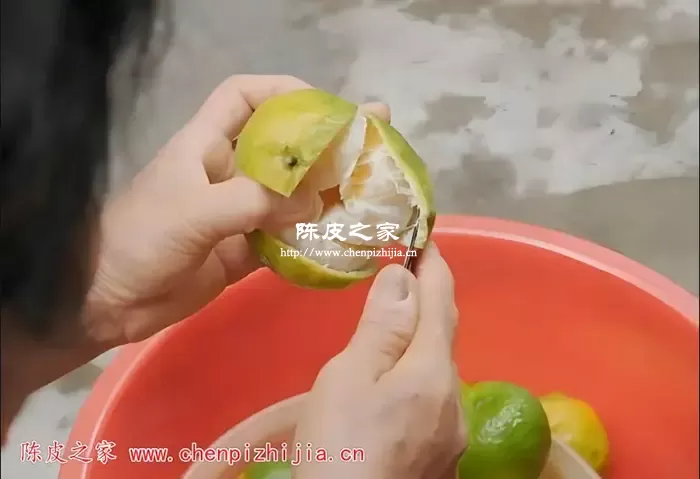 陈皮剥皮制作过程