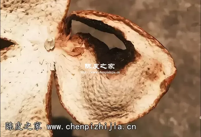 陈皮烧皮是什么意思 烧皮后怎么办