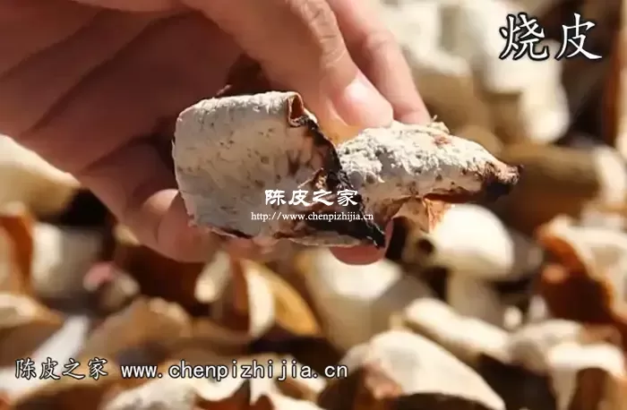 10年陈皮会烧皮吗