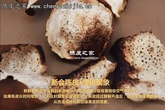 新会陈皮烧皮后还能要吗