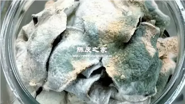 陈皮发霉