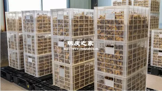 新会陈皮怎么长期保存？选对容器、正确翻晒！