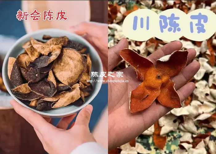 新会陈皮为什么比其他陈皮贵？这些方面都碾压对方