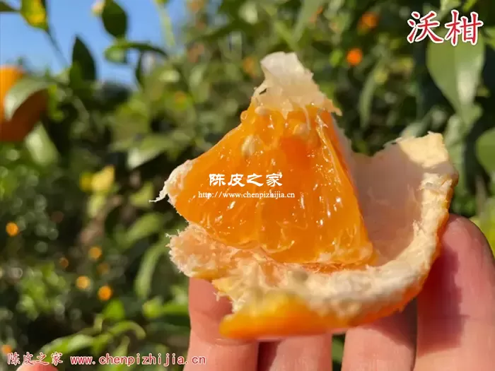 橘子皮跟沃柑一样的用途吗