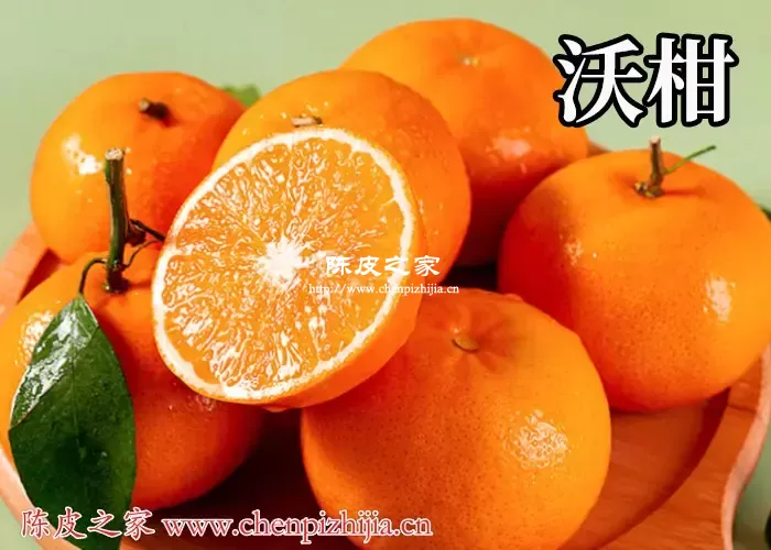 新会陈皮是沃柑皮吗