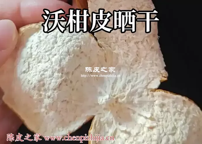沃柑和丑橘的皮能做陈皮吗