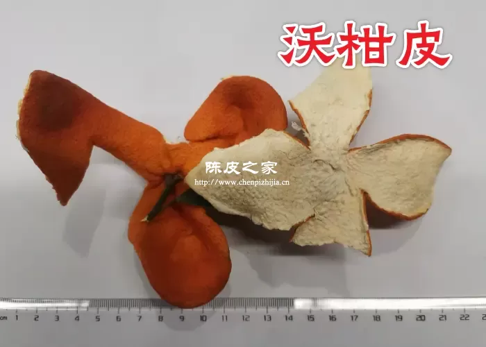 橙子皮沃柑皮都能做陈皮吗