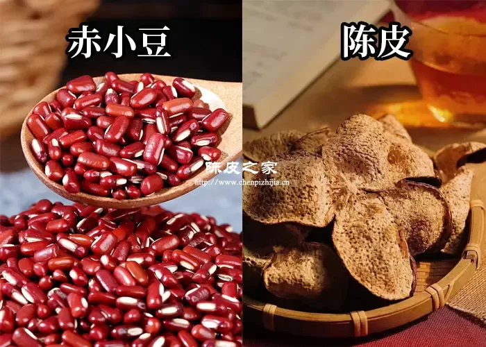陈皮和赤小豆一起吃的作用