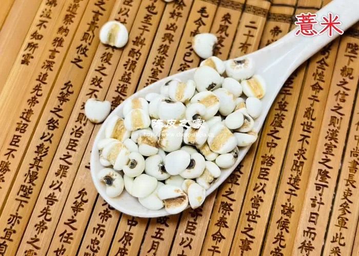 薏米图片