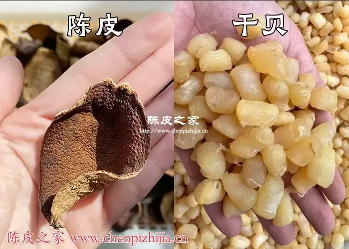 陈皮干贝搭配