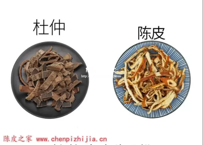 陈皮杜仲水的功效和作用有哪些