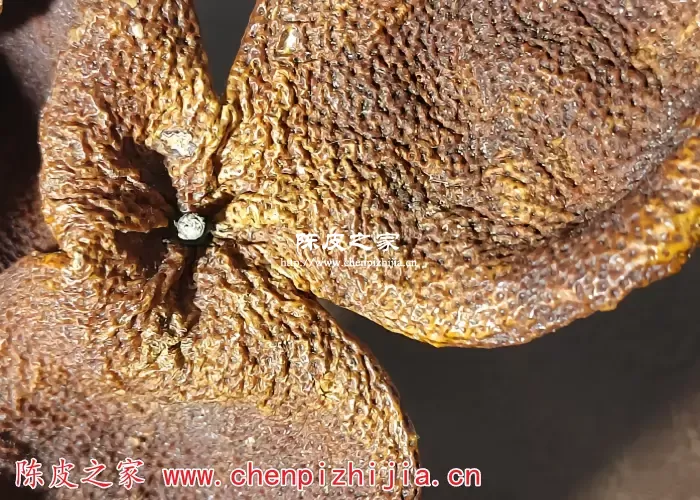 新会陈皮贵的便宜的有什么区别