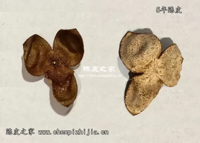 陈皮5年买来后可以自己保存吗