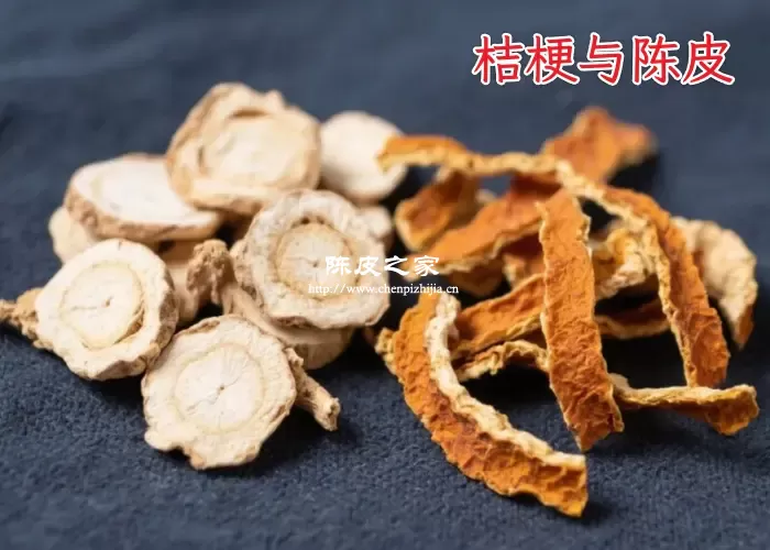 陈皮和桔梗有什么区别？如何进行分辨和区分