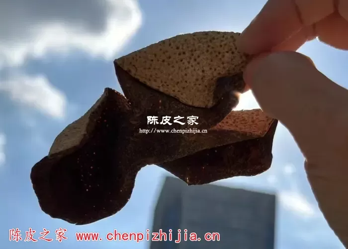 新会陈皮是否有人用桔子皮代替