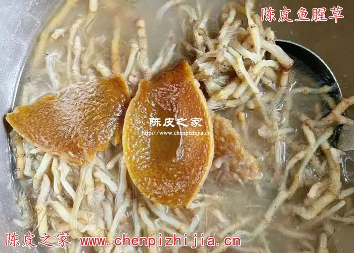 鱼腥草和陈皮的比例应该是多少