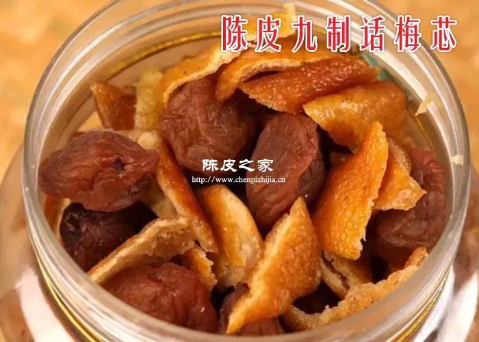 陈皮九制话梅芯