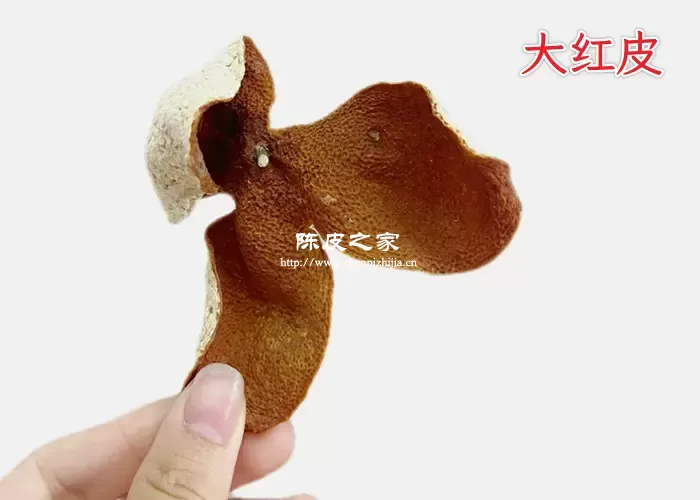 陈皮大红皮图片