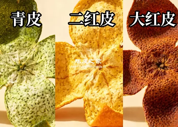 青皮、微红皮、大红皮：分别适合哪些体质？