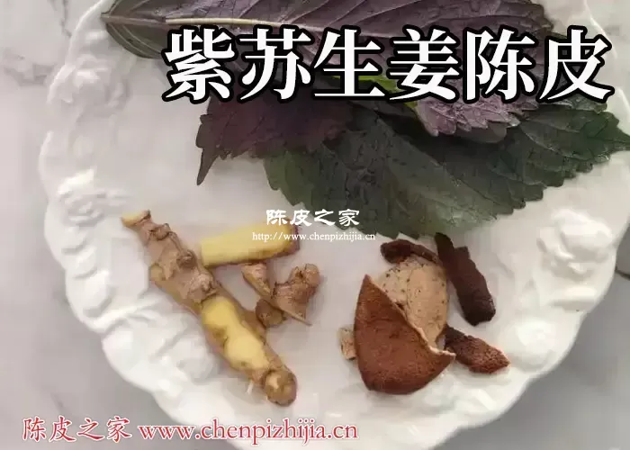 生姜紫苏陈皮水功效与作用有哪些