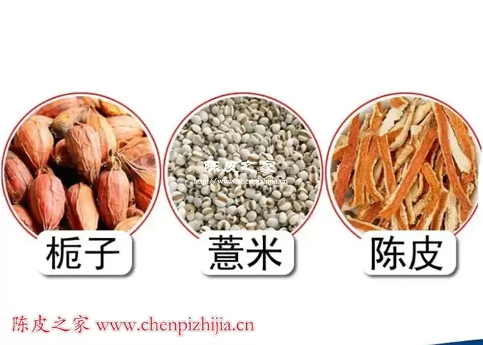 栀子陈皮薏米泡水喝有什么功效