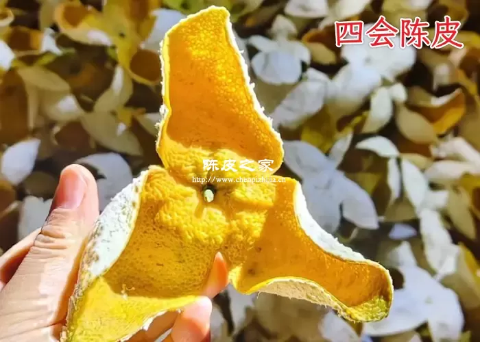 新会陈皮和四会陈皮的区别究竟是什么