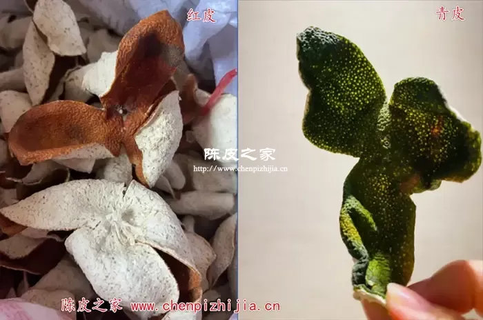 小青柑和大红柑的区别有哪些