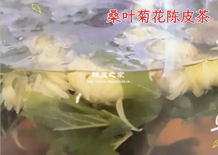 桑叶陈皮菊花一起泡水喝有什么功效