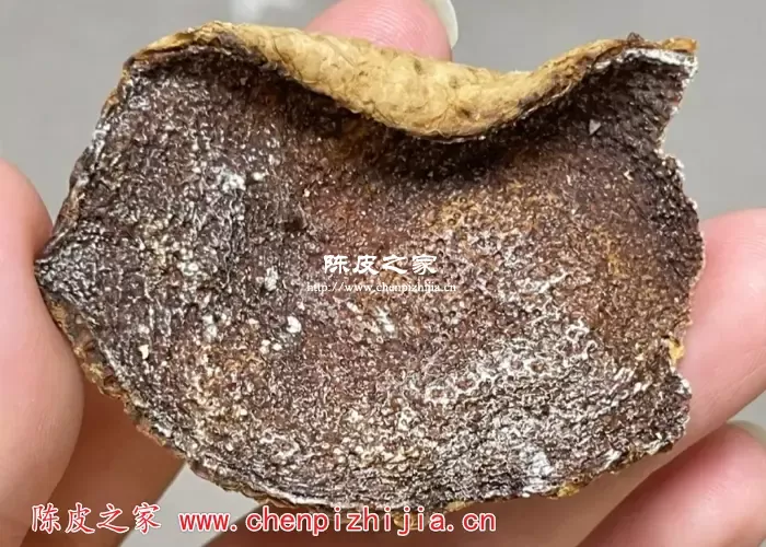 陈皮上的白点