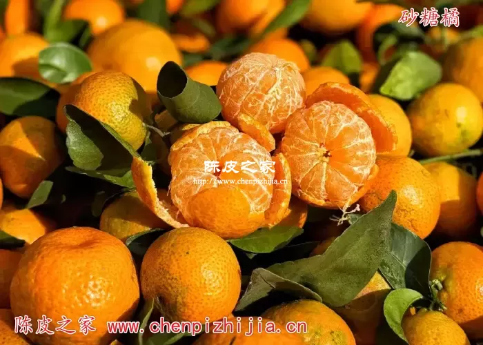 砂糖橘的皮能做陈皮吗