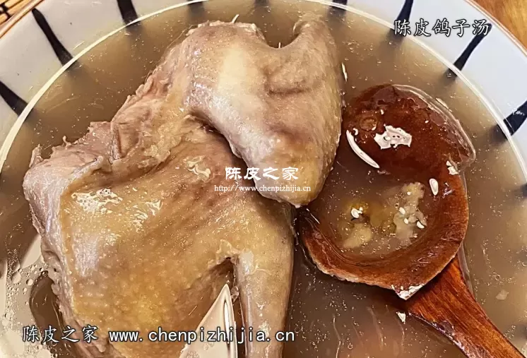 陈皮鸽子汤怎么做？陈皮鸽子汤的做法和步骤