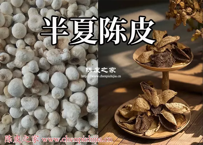 半夏和陈皮可以泡水喝吗？半夏和陈皮一起吃的注意事项
