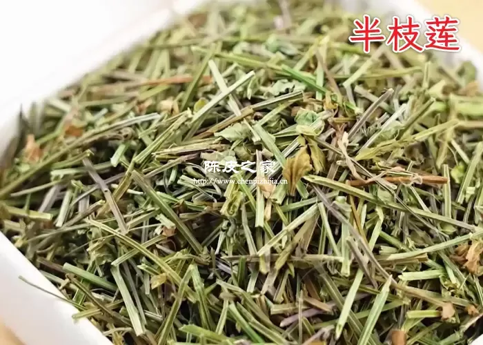 半枝莲能与陈皮茯苓配伍吗