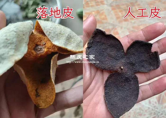 如何区分落地皮和人工皮？用这3个方法！