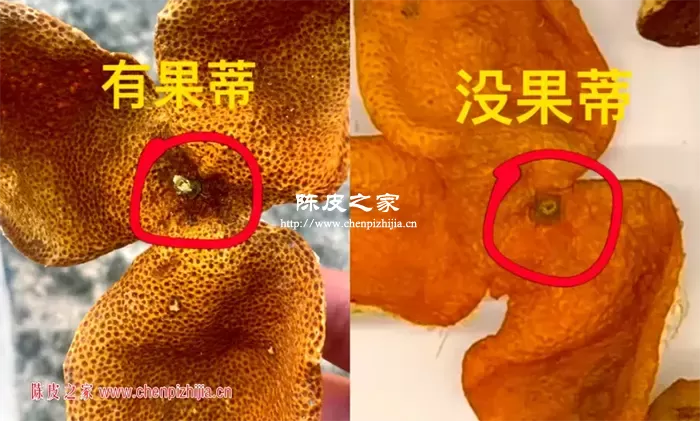 落地皮与正宗陈皮对比图