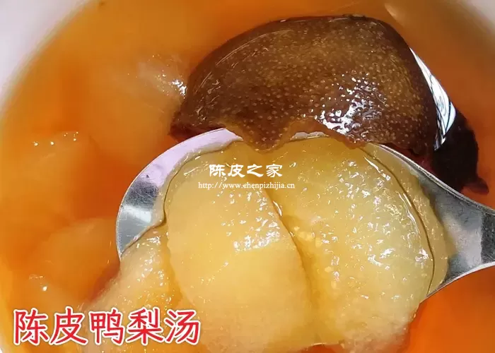 陈皮鸭梨汤