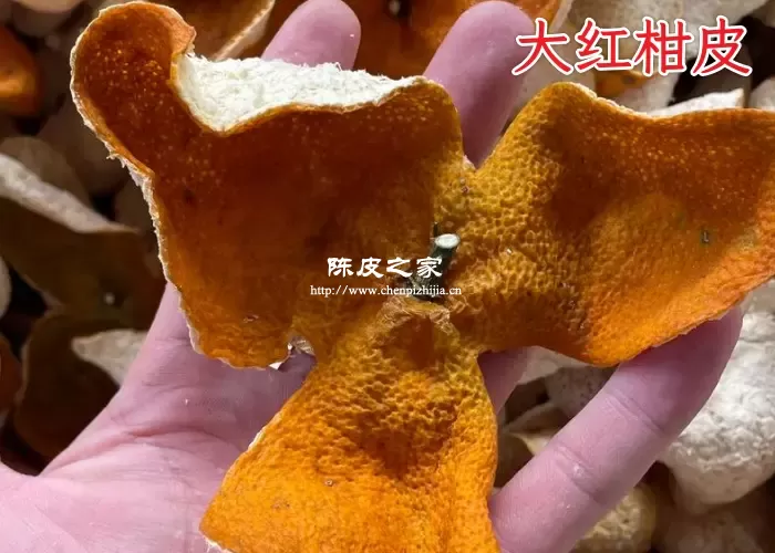 什么是新会陈皮大红柑