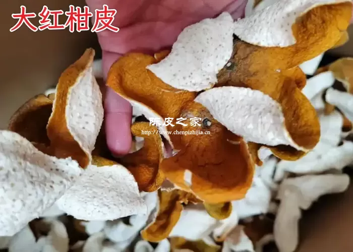 新会陈皮大红柑皮的适宜人群及禁忌