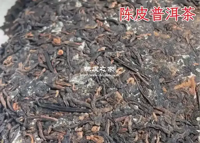 陈皮普洱茶外面长了一些白色的点点是什么