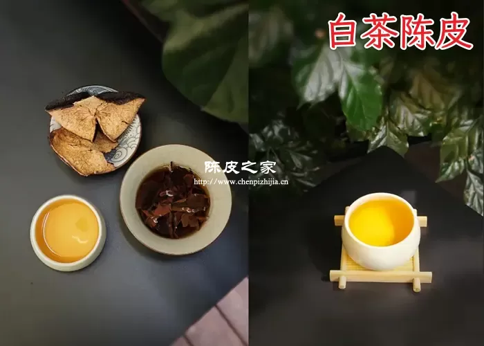 喝陈皮白茶对身体有什么好处