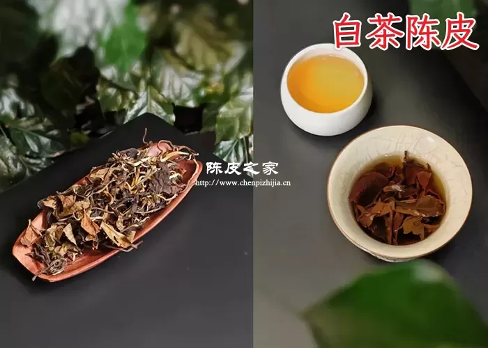 陈皮白茶适合什么季节喝
